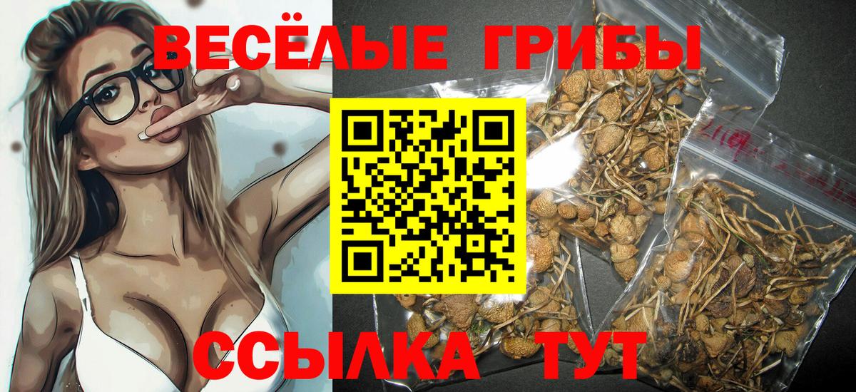 Галлюциногенные грибы GOLDEN TEACHER Калуга